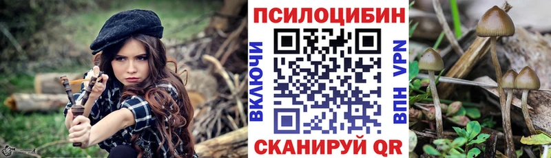 Псилоцибиновые грибы мухоморы Заринск